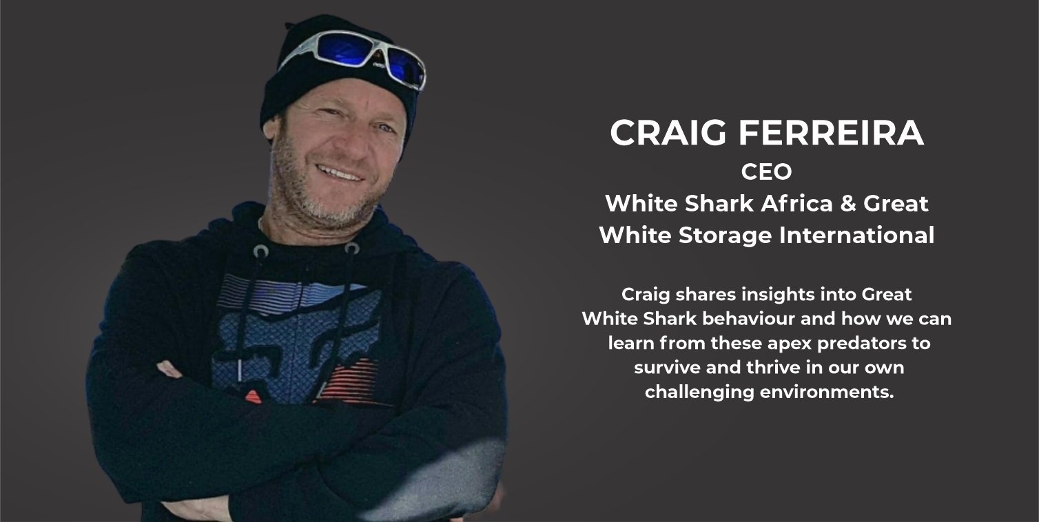 A banner of CRAIG FERREIRA